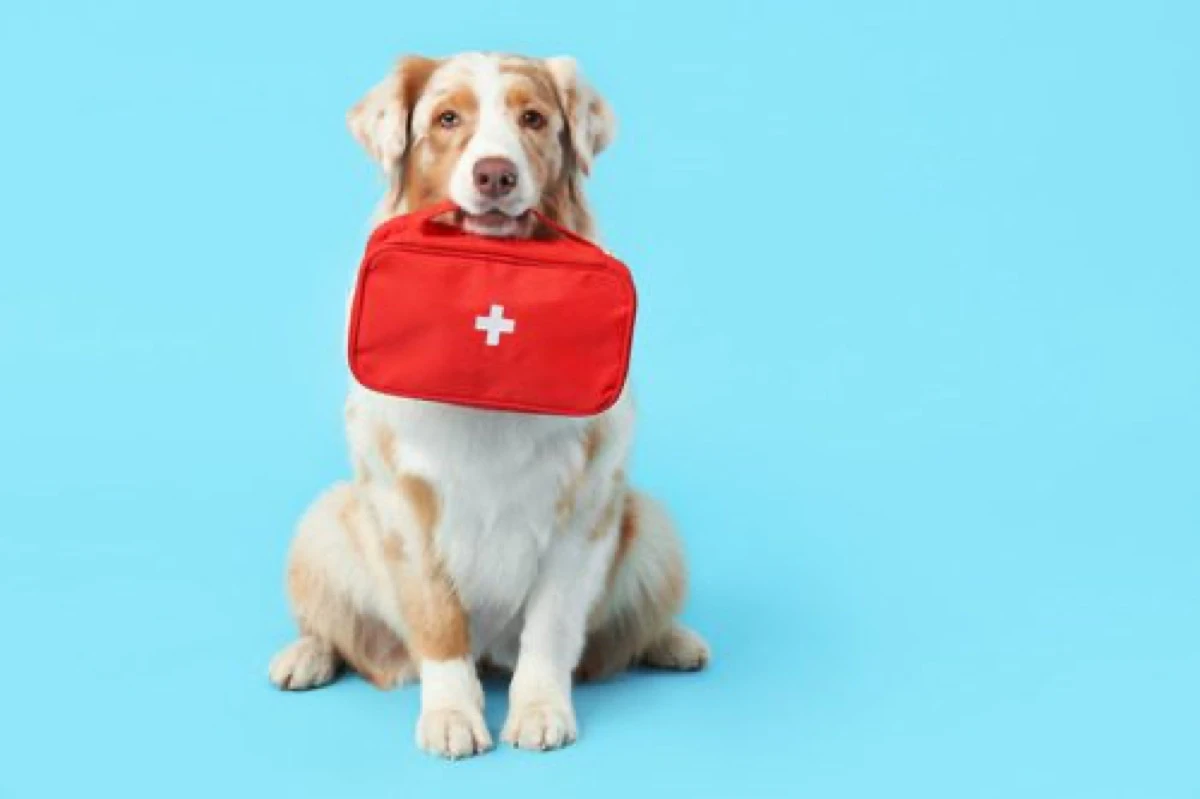 Спешни пациенти амбулаторно