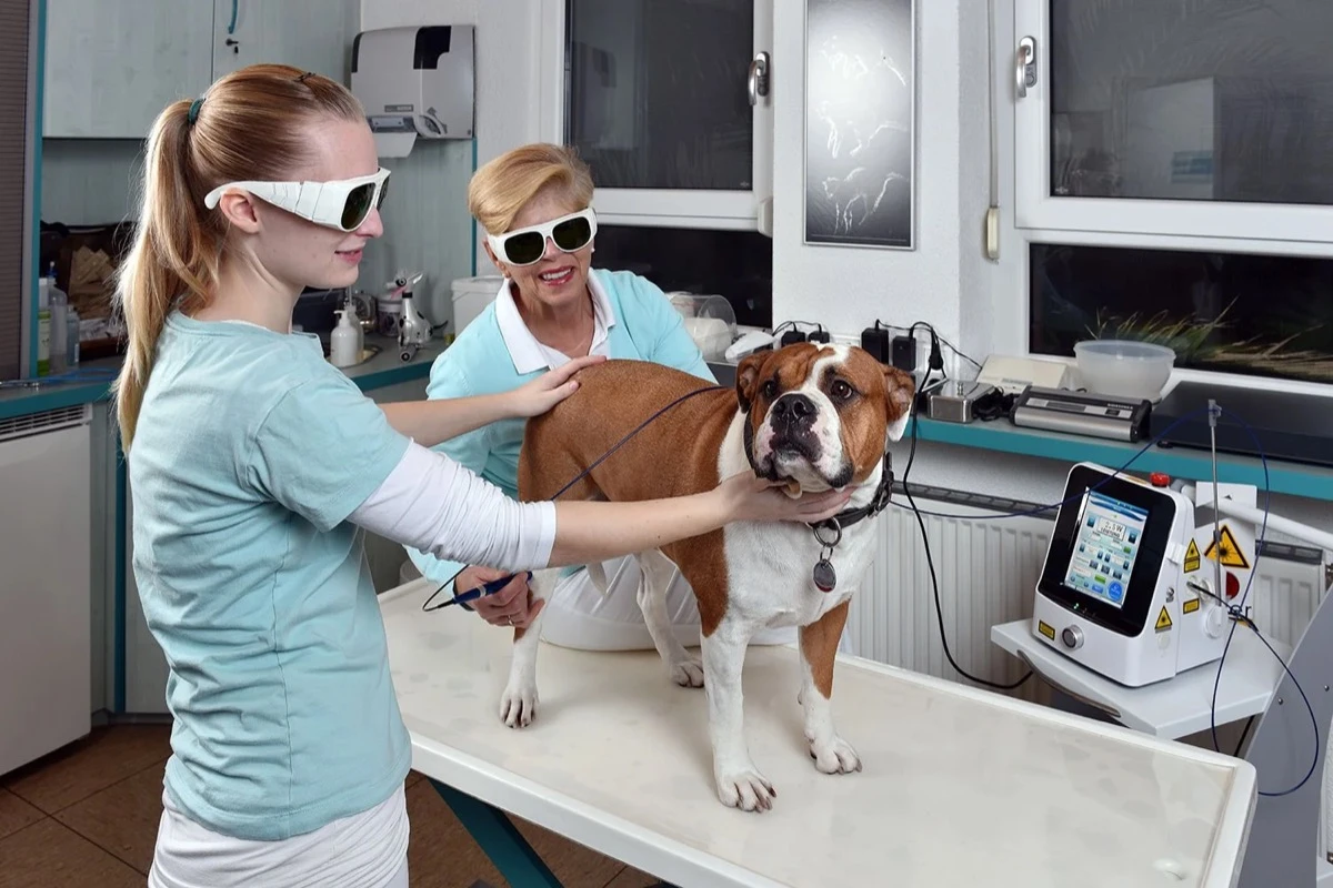 Хирургия и терапия с лазери